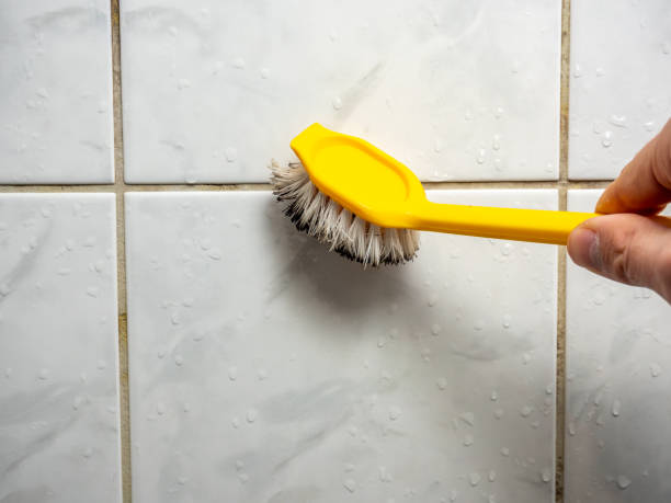 Best Mold Removal Near Me  in High Bridge, NJ
