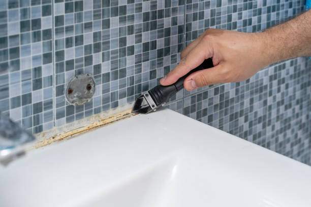 Trusted High Bridge, NJ Mold Removal Experts