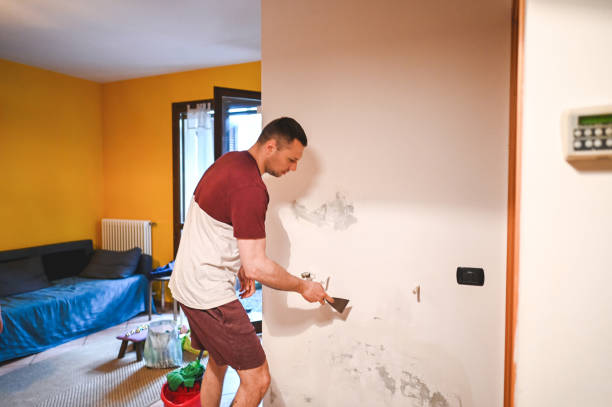 Best Mold Remediation  in High Bridge, NJ