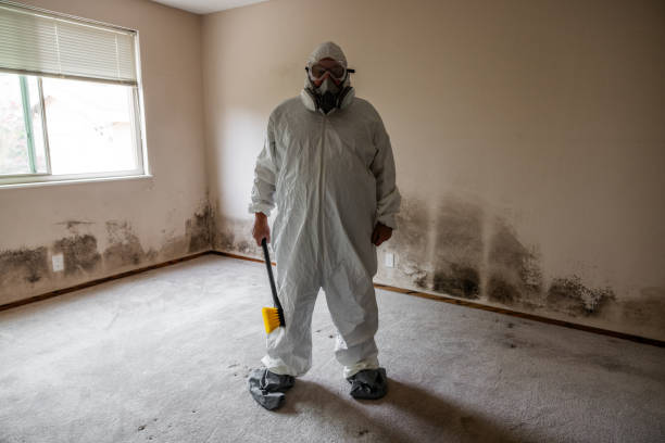 Best Emergency Mold Removal  in High Bridge, NJ